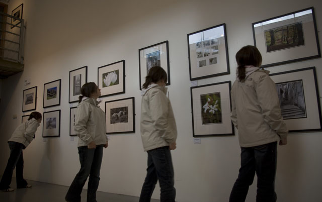 CompositeGallery1small.jpg