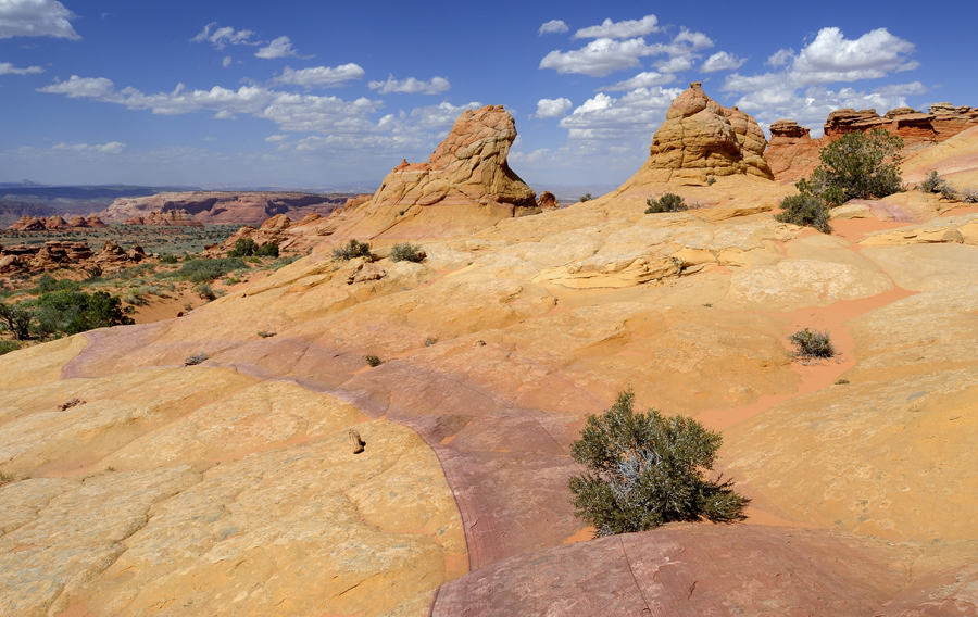 View from South Coyote Buttes