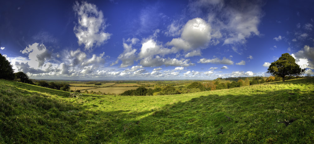 Patrick White - Pyrton Hill