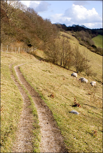 PathatAstonClinton.jpg