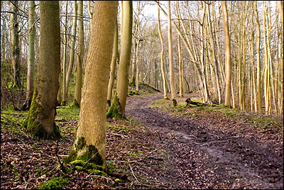 PathdownAstonHillnrLewknor.jpg