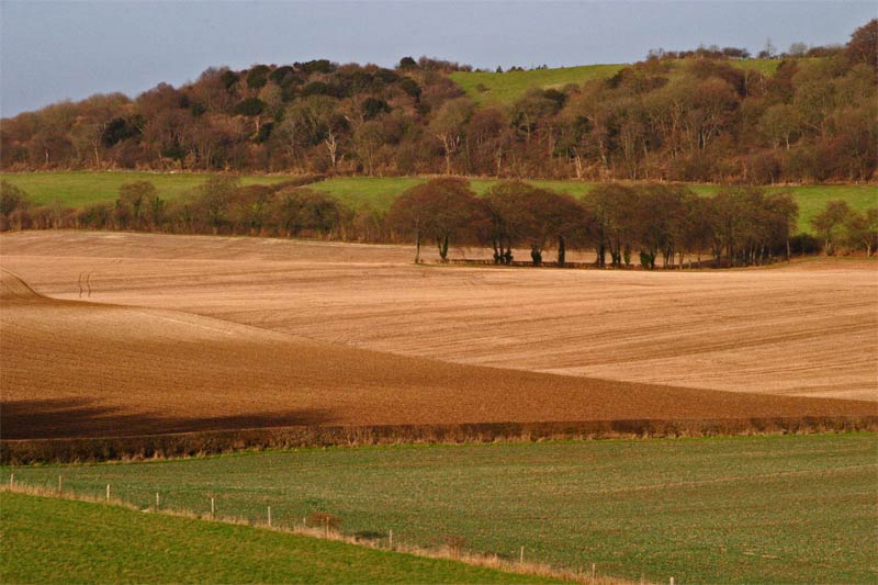 Bledlow_landscape_view.jpg