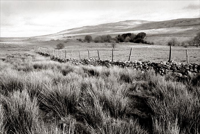 CadairFawr1.jpg