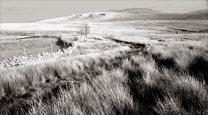 ViewfromHepsteFechan.jpg