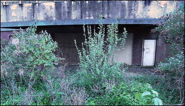 CinemaCentralMaidenhead.jpg CinemaCentralMaidenhead.jpg