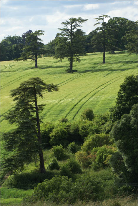 NearWorleysFarm.jpg NearWorleysFarm.jpg