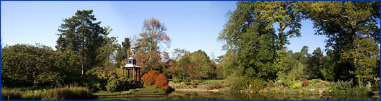 vJohn-Ashford-Water-Garden.jpg