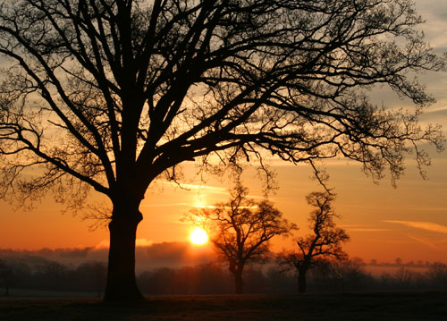 vJune-Lancaster---Sunrise.jpg