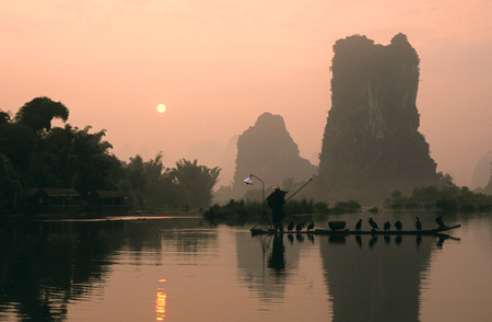 vPeter-Noble-Cormorant-Fish.jpg