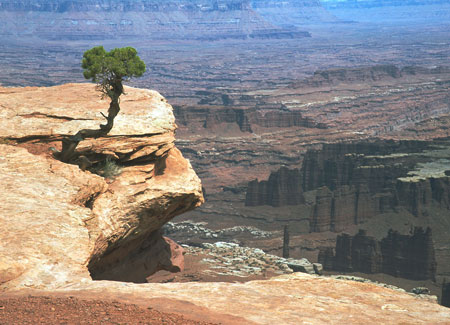 vRogerNorton_dead-horse-poi.jpg