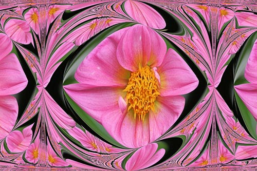 vBill-OKeefe-Another-Flowe.jpg