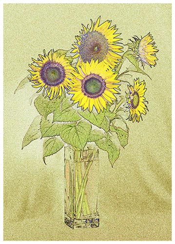 vJoe-Humm-Sun-Flower.jpg