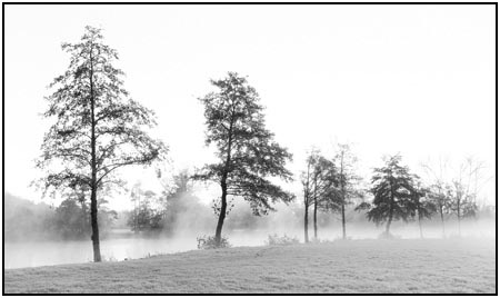 19MarkRussellMorningMist.jpg
