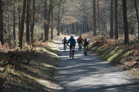 20RodMorrod-WoodlandWheelersE3DECC.jpg