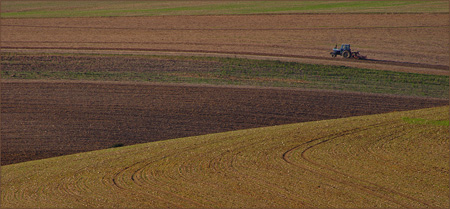 MichaelKiely_AutumnTractor.jpg