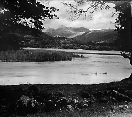 VicChandler_Landscape.jpg