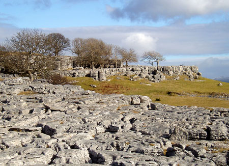 vJohn-A-Hutton-Roof-feb06.jpg