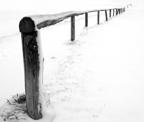 vEd_Doughty_The_Fence_Solde.jpg