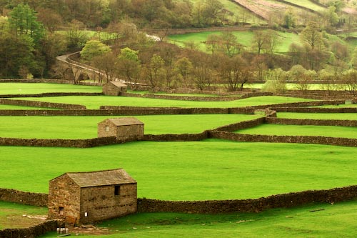 sharonribbon_threebarns.jpg