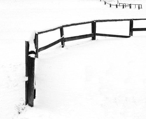 Ed_Doughty_The_Fences_Solden2.jpg