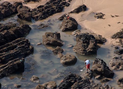 RNortonFishingtheRockPools.jpg