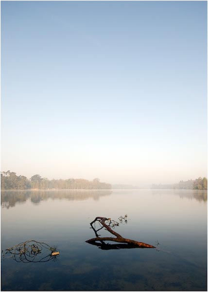 Ed_Doughty_Virginia_Water.jpg