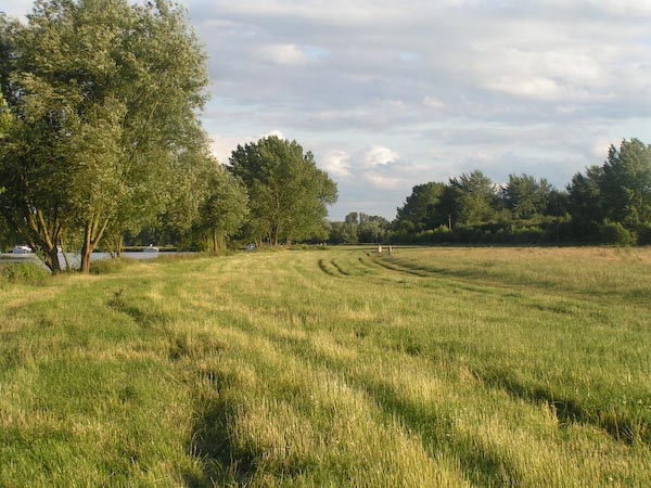 M.DeamanCockmarshCookham.jpg