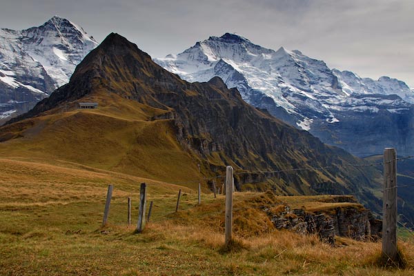 sharonribbon_fencepostsatwengen.jpg