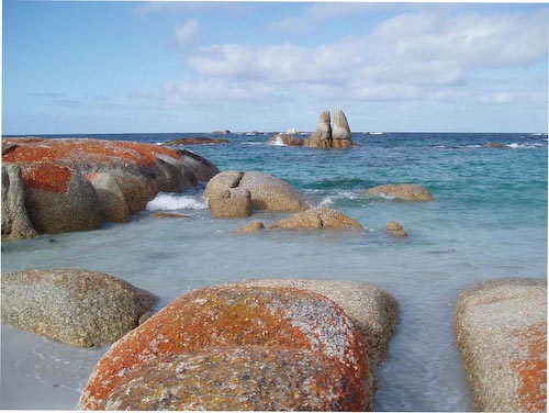 AlexBayofFires.jpg