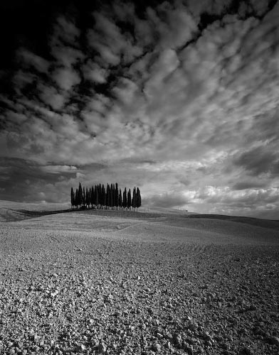 PaulThe-Clump-S-Quirico-bw.jpg