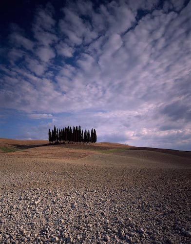 PaulThe-Clump-S-Quirico.jpg