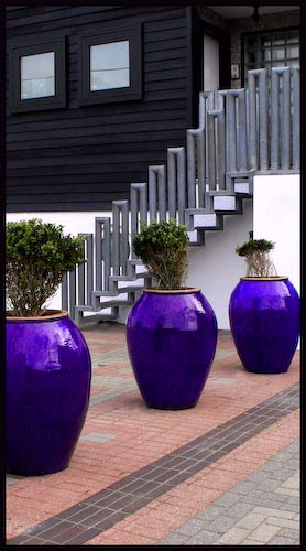 DeniseFlemingPurplePots.jpg