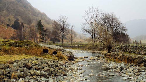 uJoeHummSeathwaite_MG_1224.jpg