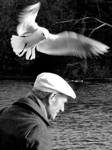 SusanPointer-SoftLanding.jpg