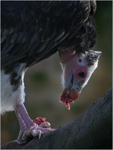 DaveMundy_YummyBreakfast.jpg