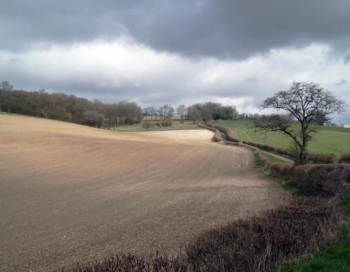 AlexMcKendrick-PloughedField.jpg