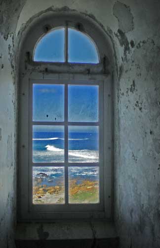IbetAllan-Development-SealPoint.jpg