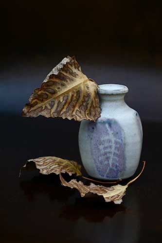MashaErshova-Open-Vasewithleaves.jpg
