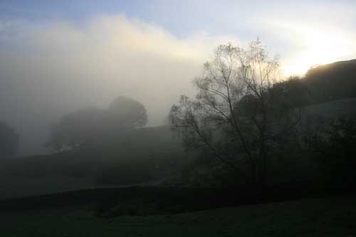 NigelRoper-Development-EarlyMist.jpg