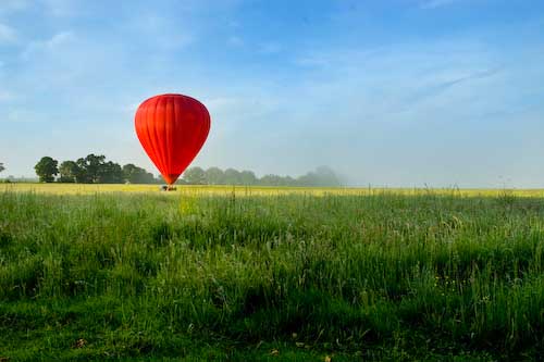 StevePowell-Development-MorningFlight.jpg