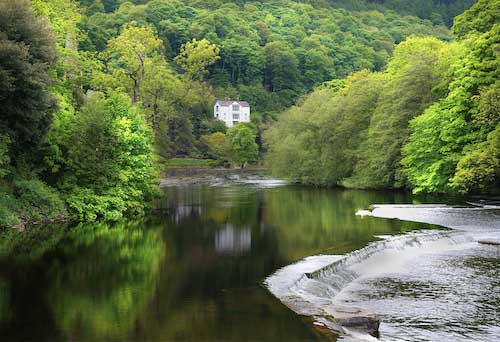 TomPizzey-Development-Wales.jpg