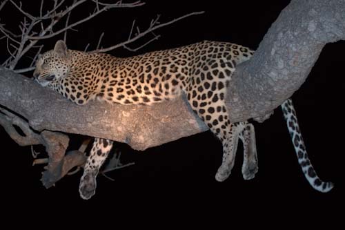 SteveMundy-HangingAround.jpg