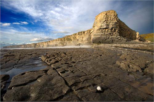 DavidBirch-Annual-NashPoint.jpg