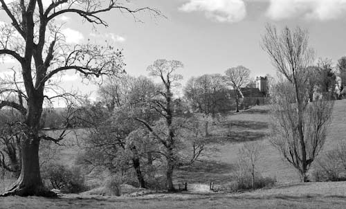 JoeHummPitchcombe_MG_2065.jpg