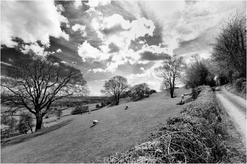 SteveGreen-Annual-LythValley.jpg