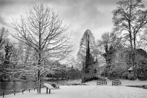 SteveMundy-Annual-RayMillIsland.jpg