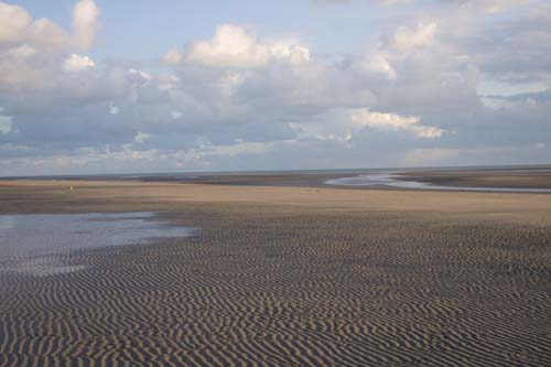 victoriacreffield-annual-sandpatterns.jpg
