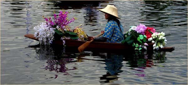 GeorgeBlair-Annual-WaterFlowers.jpg
