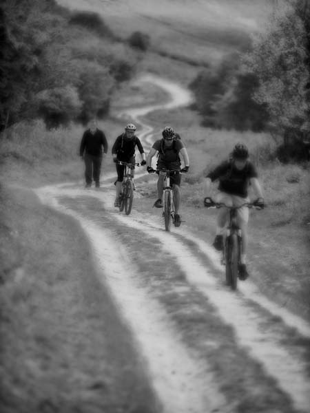SteveGreen-Annual-Bikeit.jpg