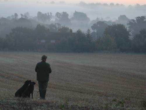 JulianHillierBlackLabsatDawn.jpg
